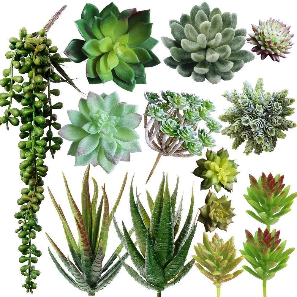 imageSupla 14 Pcs Unpotted Artificial Succulents Plants Bulk Assorted Faux Succulents in Different Green Hanging String of Pearls Cactus Aloe Succulent Picks for Wedding Centerpieces Floral Arrangement