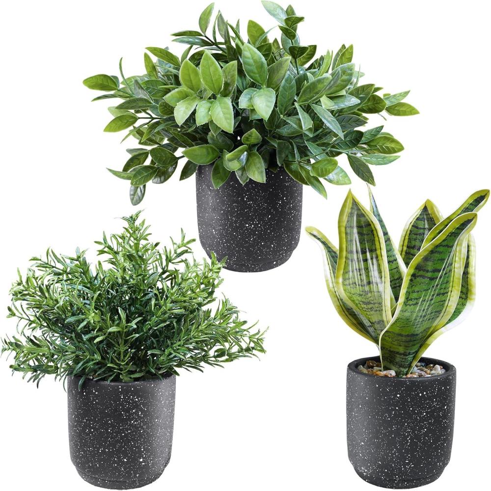 imageWinlyn 3 Pack Small Potted Artificial Plants Faux Rosemary Boxwood Snake Plants in White Cement Planters Decorative Plants 83quot93quot Tall for Home Office Desk Bathroom Shelf Tabletop Greenery DcorBlack