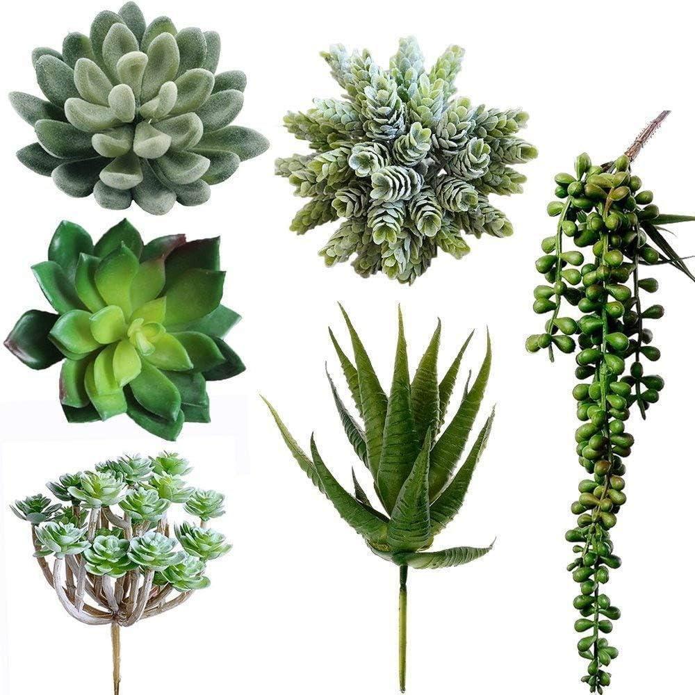 imageWinlyn 6 Pcs Unpotted Fake Succulents Assorted Faux Succulent in Different Green Artificial Hanging Succulents Textured Faux Succulent Pick Hanging String of Pearls Plant for Wedding Centerpieces