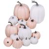 14 pcs Assorted Harvest Artificial White and Pink Pumpkins Decorative Pumpkins Faux Foam Pumpkins for Farmhouse Fall Halloween Harvest Wedding Baby Shower Tabletop Centerpiece Mantel Kitchen Decor(White and Pink)