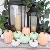 9 Pcs Assorted Small Frosted Artificial Pumpkins Rustic Harvest Decorative Pumpkins Foam Pumpkins in Pastel Orange Green White for Fall Halloween Thanksgiving Table Centerpiece Mantel Kitchen Decor(Teal Green)