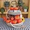 BESTTOYHOME 12 Pcs Assorted Small Light Pink Pumpkins – Elegant Pastel Pink Faux Decorative Pumpkins for Fall, Halloween, Thanksgiving, Wedding, Baby Shower(Orange)