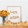 BESTTOYHOME 12 Pcs Assorted Small Light Pink Pumpkins – Elegant Pastel Pink Faux Decorative Pumpkins for Fall, Halloween, Thanksgiving, Wedding, Baby Shower(Light Orange)