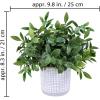 Set of 3 Small Potted Plants Faux Eucalyptus Plants and Tropical Snake Plant in Geometric Gray Pots for Modern Bathroom Office Table Shelf Windowsill Home Indoor Outdoor Green Décor