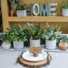 Set of 3 Small Potted Plants Faux Eucalyptus Plants and Tropical Snake Plant in Geometric Gray Pots for Modern Bathroom Office Table Shelf Windowsill Home Indoor Outdoor Green Décor