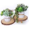 Supla 14 Pcs Unpotted Artificial Succulents Plants Bulk Assorted Faux Succulents in Different Green Hanging String of Pearls Cactus Aloe Succulent Picks for Wedding Centerpieces Floral Arrangement