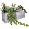 Supla Artificial Potted Succulents Plants Arrangement Fake Succulent Plants in Rectangular Wooden Pot Arrangement for Table Centerpiece Windowsill Greenery Decor