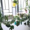 Supla Artificial Potted Succulents Plants Arrangement Fake Succulent Plants in Rectangular Wooden Pot Arrangement for Table Centerpiece Windowsill Greenery Decor