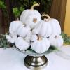 Winlyn 10 Pcs Assorted Navy Blue Artificial Pumpkins Dark Blue Pumpkins Decorative Pumpkins Faux Foam Pumpkins for Fall Farmhouse Thanksgiving Halloween Table Centerpiece Kitchen Table Mantel Décor(White)