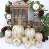Winlyn 10 Pcs Assorted Navy Blue Artificial Pumpkins Dark Blue Pumpkins Decorative Pumpkins Faux Foam Pumpkins for Fall Farmhouse Thanksgiving Halloween Table Centerpiece Kitchen Table Mantel Décor(Gold Brush White)