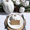 Winlyn 10 Pcs Assorted Navy Blue Artificial Pumpkins Dark Blue Pumpkins Decorative Pumpkins Faux Foam Pumpkins for Fall Farmhouse Thanksgiving Halloween Table Centerpiece Kitchen Table Mantel Décor(White)