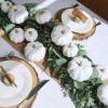 Winlyn 12 Pcs Assorted Orange Harvest Artificial Pumpkins Small Decorative Fall Pumpkins Dark Orange Faux Foam Pumpkins for Halloween Thanksgiving Autumn Wedding Decor Bowl Display Wreath Centerpiece(White)