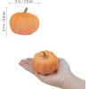 Winlyn 12 Pcs Small Artificial Pink Faux Pumpkins Decorative Foam Pumpkins for Fall Wedding Halloween Thanksgiving Baby Shower Table Centerpiece Farmhouse Mantel Decor(Light Orange)