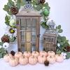 Winlyn 12 Pcs Small Artificial Pink Faux Pumpkins Decorative Foam Pumpkins for Fall Wedding Halloween Thanksgiving Baby Shower Table Centerpiece Farmhouse Mantel Decor(Light Pink)
