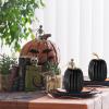 Winlyn 2 Pcs Large Artificial Pumpkins 8.7″ Harvest Cream Faux Pumpkins Decorative Pumpkins Big Foam Pumpkins for Fall Autumn Wedding Baby Shower Thanksgiving Halloween Party Decor Table Centerpiece(Black)