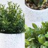 Winlyn 3 Pack Small Potted Artificial Plants Faux Rosemary Boxwood Snake Plants in White Cement Planters Decorative Plants 8.3″-9.3″ Tall for Home Office Desk Bathroom Shelf Tabletop Greenery Décor(White)