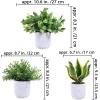Winlyn 3 Pack Small Potted Artificial Plants Faux Rosemary Boxwood Snake Plants in White Cement Planters Decorative Plants 8.3″-9.3″ Tall for Home Office Desk Bathroom Shelf Tabletop Greenery Décor(White)