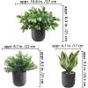 Winlyn 3 Pack Small Potted Artificial Plants Faux Rosemary Boxwood Snake Plants in White Cement Planters Decorative Plants 8.3″-9.3″ Tall for Home Office Desk Bathroom Shelf Tabletop Greenery Décor(Black)