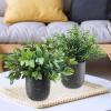 Winlyn 3 Pack Small Potted Artificial Plants Faux Rosemary Boxwood Snake Plants in White Cement Planters Decorative Plants 8.3″-9.3″ Tall for Home Office Desk Bathroom Shelf Tabletop Greenery Décor(Black)