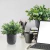 Winlyn 3 Pack Small Potted Artificial Plants Faux Rosemary Boxwood Snake Plants in White Cement Planters Decorative Plants 8.3″-9.3″ Tall for Home Office Desk Bathroom Shelf Tabletop Greenery Décor(Black)