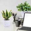 Winlyn 3 Pack Small Potted Artificial Plants Faux Rosemary Boxwood Snake Plants in White Cement Planters Decorative Plants 8.3″-9.3″ Tall for Home Office Desk Bathroom Shelf Tabletop Greenery Décor(White)