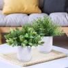 Winlyn 3 Pack Small Potted Artificial Plants Faux Rosemary Boxwood Snake Plants in White Cement Planters Decorative Plants 8.3″-9.3″ Tall for Home Office Desk Bathroom Shelf Tabletop Greenery Décor(White)