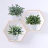 Winlyn 3 Pcs Artificial Eucalyptus Boxwood Plants in Grey Textured Cylinder Concrete Planter Pots Small Potted Plants Faux Greenery Decorations for Modern Farmhouse Home Office Bookshelf Tabletop