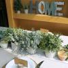 Winlyn 3 Pcs Artificial Eucalyptus Boxwood Plants in Grey Textured Cylinder Concrete Planter Pots Small Potted Plants Faux Greenery Decorations for Modern Farmhouse Home Office Bookshelf Tabletop