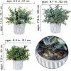 Winlyn 3 Pcs Artificial Eucalyptus Boxwood Plants in Grey Textured Cylinder Concrete Planter Pots Small Potted Plants Faux Greenery Decorations for Modern Farmhouse Home Office Bookshelf Tabletop