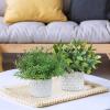 Winlyn 3 Pcs Artificial Potted Plants – Faux Eucalyptus, Boxwood, Rosemary, Greenery in Small Concrete Pots -Desk, Table, Shelf, Windowsill Decor for Indoor Outdoor Home Office