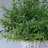 Winlyn 3 Pcs Artificial Potted Plants – Faux Eucalyptus, Boxwood, Rosemary, Greenery in Small Concrete Pots -Desk, Table, Shelf, Windowsill Decor for Indoor Outdoor Home Office