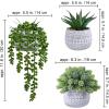 Winlyn 3 Pcs Assorted Small Potted Succulent Plants Artificial Aloe Hops String of Pearls Succulents in Gray Geometric Concrete Pots for Gifts Table Shelf Windowsill Indoor Outdoor Greenery Decor