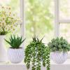 Winlyn 3 Pcs Small Faux Potted Plants Artificial Aloe Hops String of Pearls Succulents Plants in Gray Geometric Concrete Pots for Indoor Outdoor Greenery Shelf Home Bathroom Office Desk Tabletop Décor