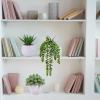 Winlyn 3 Pcs Small Faux Potted Plants Artificial Aloe Hops String of Pearls Succulents Plants in Gray Geometric Concrete Pots for Indoor Outdoor Greenery Shelf Home Bathroom Office Desk Tabletop Décor