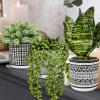 Winlyn 3 Pcs Small Potted Plants Artificial Succulents Hanging Plants and Faux Tropical Snake Plant in Black Geometric Pots for Modern Home Kitchen Windowsill Table Shelf Indoor Outdoor Greenery Decor
