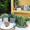 Winlyn 3 Pcs Small Potted Succulents Plants Artificial Aloe Hops String of Pearls Succulents in Black and White Concrete Pots for Gifts Table Centerpiece Shelves Windowsill Indoor Outdoor Decorations