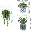 Winlyn 3 Pcs Small Potted Succulents Plants Artificial Aloe Hops String of Pearls Succulents in Black and White Concrete Pots for Gifts Table Centerpiece Shelves Windowsill Indoor Outdoor Decorations