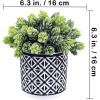 Winlyn 3 Pcs Small Potted Succulents Plants Artificial String of Pearls Aloe Hops Succulents in Black Geometric Concrete Pots for Gifts Modern Home Bathroom Window Table Indoor Outdoor Greenery Décor