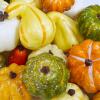 Winlyn 30 Pcs Assorted Rustic Harvest Artificial Pumpkins Gourds Squashes Decorative Fall Pumpkins Fake Foam Pumpkins Autumn Party Thanksgiving Halloween Table Centerpiece Wreath Mantle Bowl Filler