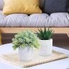 Winlyn 3-Pack Artificial Potted Succulent Plants – Aloe, Hops, String of Pearls – Realistic Faux Plants in Black Cement Pots – Modern/Contemporary Style – Ideal for Home Office Bathroom Indoor Decor(White)