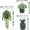 Winlyn 3-Pack Artificial Potted Succulent Plants – Aloe, Hops, String of Pearls – Realistic Faux Plants in Black Cement Pots – Modern/Contemporary Style – Ideal for Home Office Bathroom Indoor Decor(Black)
