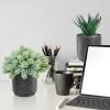 Winlyn 3-Pack Artificial Potted Succulent Plants – Aloe, Hops, String of Pearls – Realistic Faux Plants in Black Cement Pots – Modern/Contemporary Style – Ideal for Home Office Bathroom Indoor Decor(Black)
