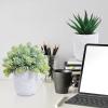 Winlyn 3-Pack Artificial Potted Succulent Plants – Aloe, Hops, String of Pearls – Realistic Faux Plants in Black Cement Pots – Modern/Contemporary Style – Ideal for Home Office Bathroom Indoor Decor(White)