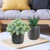 Winlyn 3-Pack Artificial Potted Succulent Plants – Aloe, Hops, String of Pearls – Realistic Faux Plants in Black Cement Pots – Modern/Contemporary Style – Ideal for Home Office Bathroom Indoor Decor(Black)