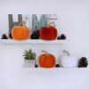 Winlyn 4 Pcs Assorted Faux Velvet Pumpkins Decorative Fabric Pumpkins Foam Pumpkins in White Black Gray Taupe 5″ for Thanksgiving Halloween Fall Wedding Centerpiece Table Mantel Farmhouse Decorations(Orange and White)