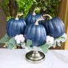 Winlyn 4 Pcs Harvest White Artificial Pumpkin 6.7″ Decorative Pumpkins Faux Foam Pumpkins Fall Pumpkins Decor Fall Autumn Thanksgiving Halloween Wedding Holiday Mantel Tabletop Centerpiece DIY Crafts(Dark Blue)