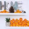 Winlyn 48 Pcs Mini Artificial Orange Pumpkins Fall Rustic Harvest Faux Foam Pumpkins 1.8″ 2.1″ for Thanksgiving Table Centerpiece Halloween Party Autumn Home Wedding Baby Shower Wreath Bowl Fillers(Orange)