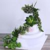 Winlyn 6 Pcs Unpotted Fake Succulents Assorted Faux Succulent in Different Green Artificial Hanging Succulents Textured Faux Succulent Pick Hanging String of Pearls Plant for Wedding Centerpieces