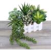 Winlyn 6 Pcs Unpotted Fake Succulents Assorted Faux Succulent in Different Green Artificial Hanging Succulents Textured Faux Succulent Pick Hanging String of Pearls Plant for Wedding Centerpieces