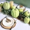 Winlyn 7 Pcs Assorted Sizes Fall Artificial Peach Pink Pumpkins Harvest Faux Foam Light Pink Pumpkins for Fall Autumn Season Halloween Thanksgiving Harvest Festive Tabletop Decoration(Light Green)